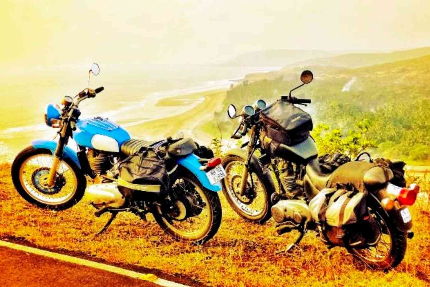 Accumen India